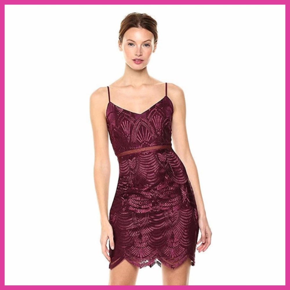 NWT Guess Gianni Embroidery Mini Dress in New Fig Sz 10